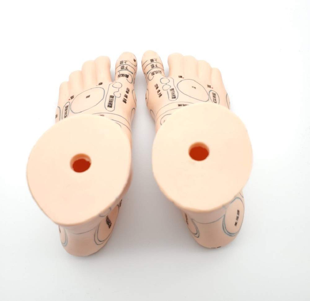 Amazon | [AiO JAPAN] 2個セット 足つぼ 模型 足つぼマッサージ