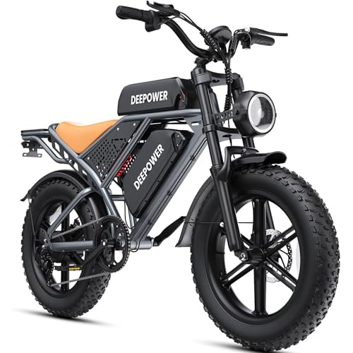 DEEPOWER QS7 Bicicleta Eléctrica, Batería Extraíble 48V 60Ah/35Ah/20Ah, Autonomía 110 250KM, Motor con Par 120N·m, Neumáticos Anchos 20'' x 4.0, 7 Velocidades, Suspensión Hidráulica Completa