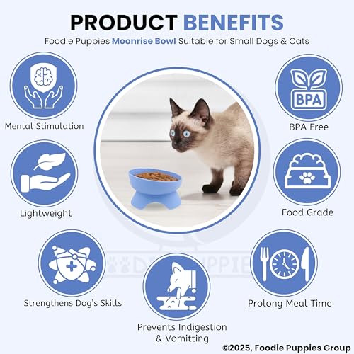 Image of Foodie Puppies Cat Food and Water Raised Feeder - 300ml (Moonrise Bowl) | Durable, Anti Vomiting, Healthy Cat Bowl for Persian Cats Prevent Tipping Over | Elevated Feeder for Cats and Small Dogs