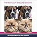 QUQU Natural Heal Eyes Daily Eye Care Drops 1 fl oz (30 ml) for Cats, Dogs, Birds & Horses – Gentle Tear Stain Remover, Soothing Eye Cleaner, Alcohol-Free & Vet-Formulated