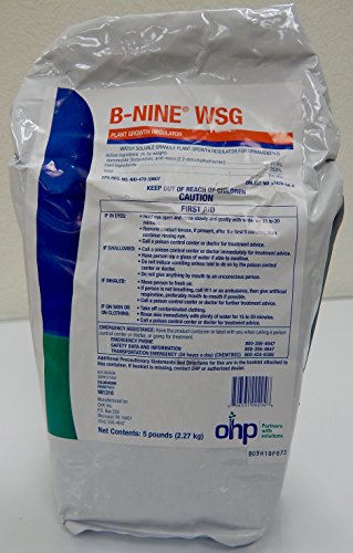 B-Nine WSG 5LB Plant Growth Regulator