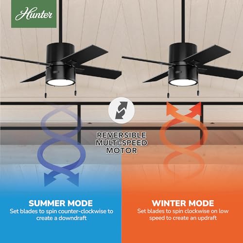 Image of Hunter Beck, Indoor, Ceiling Fan, with LED Light, 42 inch, Matte Black
