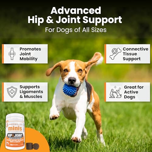Image of Progility Hip & Joint Supplement for Dogs - Daily Joint Support with Glucosamine, MSM, Chondroitin & Hyaluronic Acid, Soft Chews Value Pack (250 Count)