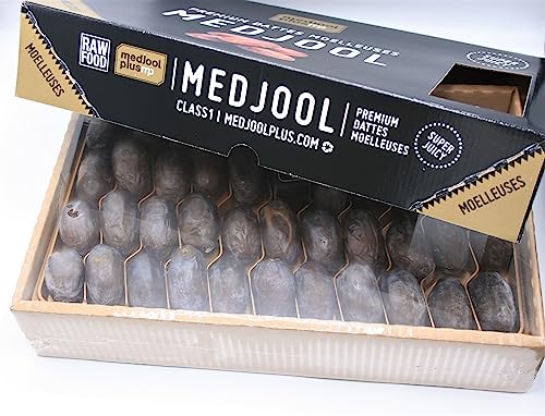 Mercado del Paraíso ➤ Dátiles Medjool XXL Bombón 3kg ➤ Dátiles extra grandes y super jugosos. Naturales, con hueso, sin azúcares añadidos