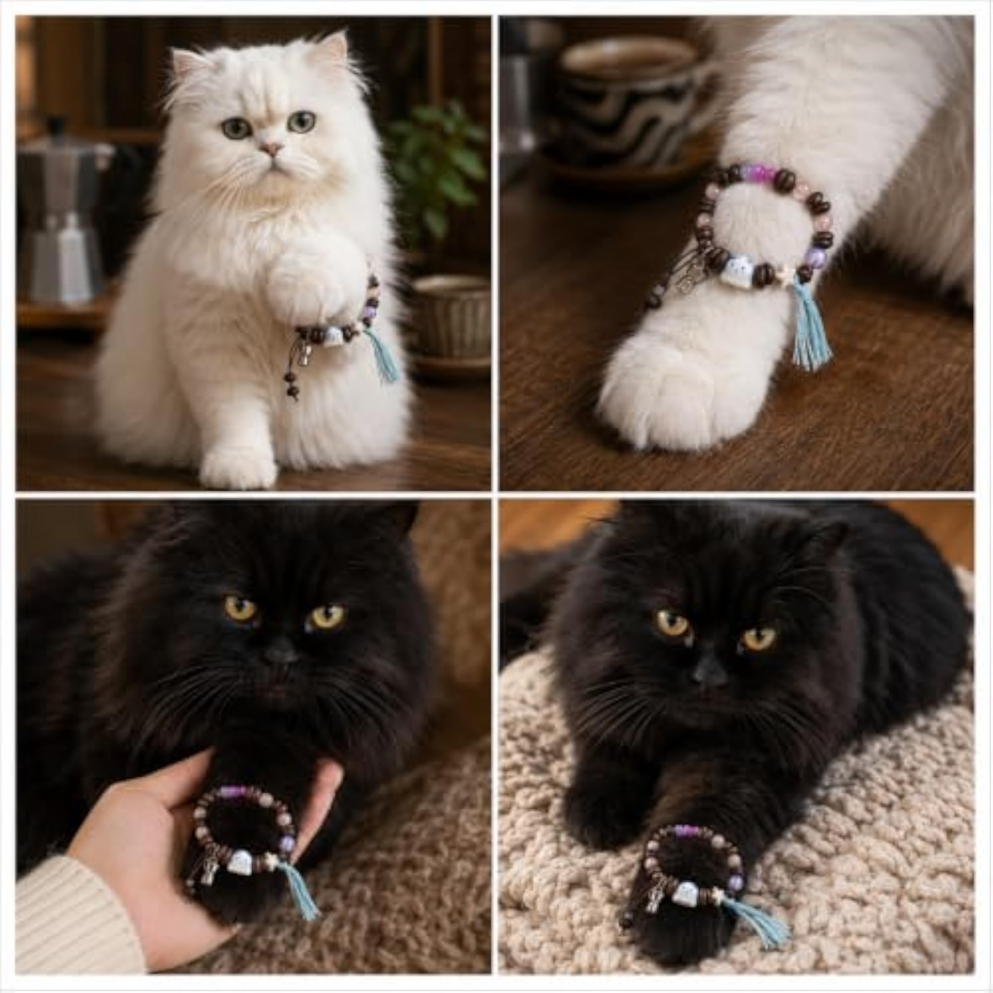 Beans & Meow Rakhi for Brother, Bracelet Combo with Roli Chawal