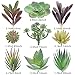 miltonson Artificial Succulent Plants - 18 Pack - Premium Fake Plants - Double Flocked Succulents - Realistic Textured Cactus - Face Succulent Plants - Mini Faux Succulents - Face Plant Decor