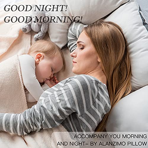 Alanzimo Luxury Home Collection Goose Feathers Down Pillows Queen Size For Sleeping Bed Pillows,100% Feather-Proof Natural Cotton Cover 1 Pack Soft Pillow For Side Stomach Sleepers(Queen:1 Pillow) #TOP6