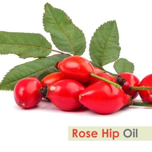 Image of Crysalis Rosehip (Rosa Canina L.) Oil |100% Pure & Natural Undiluted Essential Organic Rosehip Oil For Anti-Aging Benefits, Enhances Elasticity And Moisturization, Reduce Dark Spot (10ml)