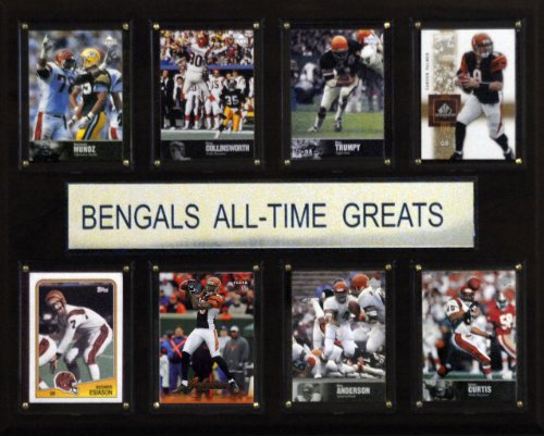 NFL Cincinnati Bengals All-Time Greats Plaque