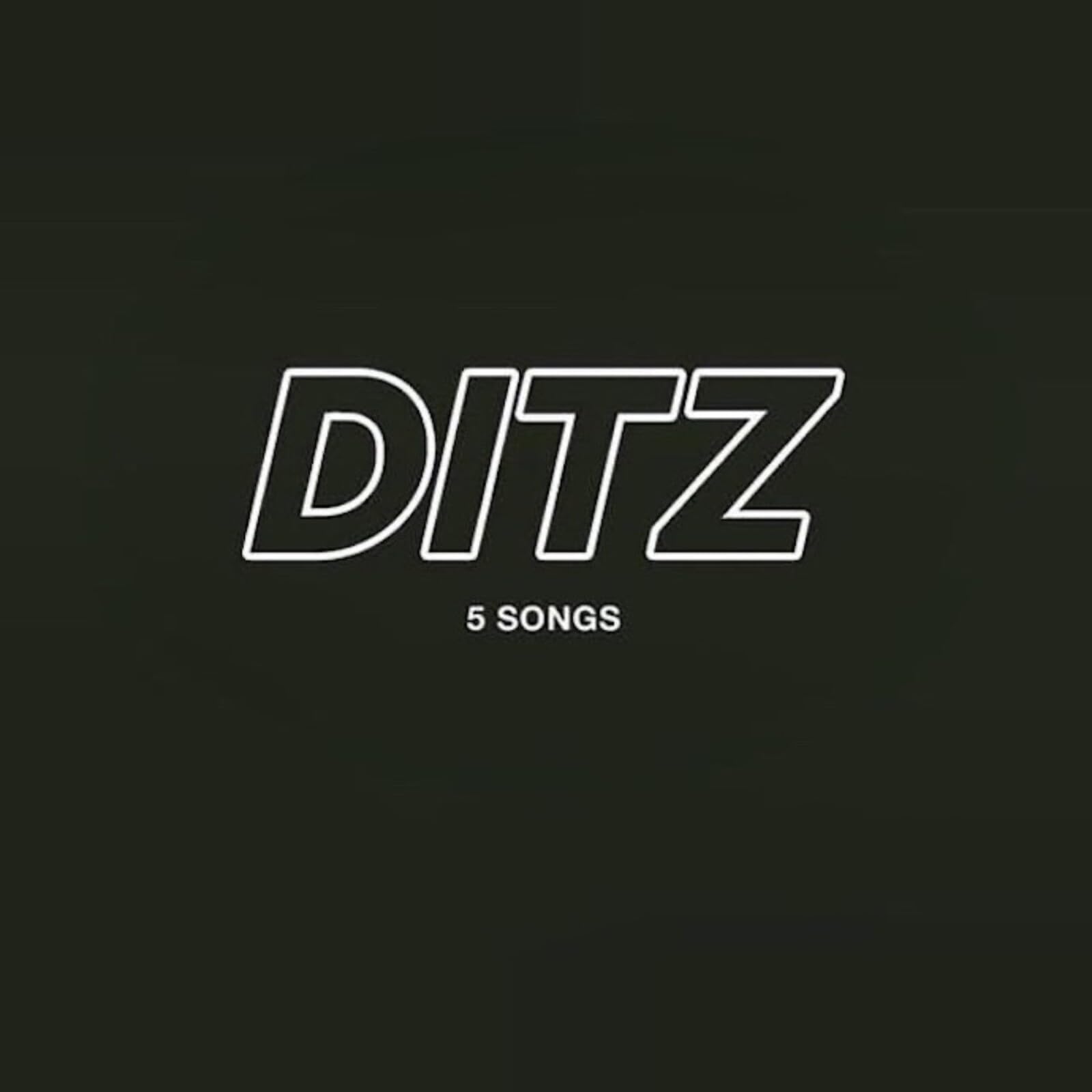 Ditz 5 Songs 12 Inch Vinyl NEW