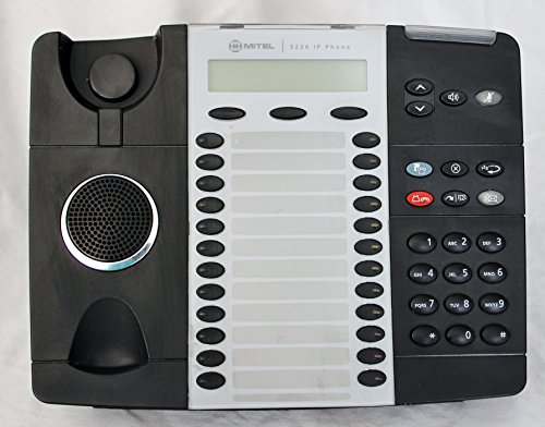 5224 IP Phone Dual Mode miniatura 2