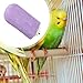 Bothyi Bird Perch Platform Parrot Stand Cage Accessories Trimmer Beak Grinding Stand for Canaries Caiques Paws Cockatiels, Purple