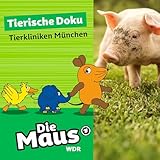 Tierkliniken München - Kuh mit Gelenkproblemen (Teil 2 von 2)