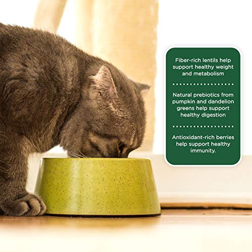Nutrish 790031 Rachael Ray Indoor Complete Premium Natural Dry Cat Food thumb #5