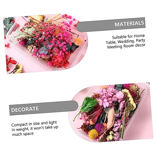 Kit de flores secas estilo aleatorio para manualidades miniatura 7