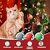 PETUPS Interactive Cat Toy, 2025 New Cat Toy for Indoor Cats, Intelligent Rolling Ball Toys, Kitten Toys for Bored Indoor Cats/Dogs (Green) #1
