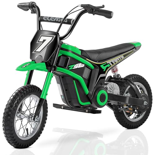 ELEMARA 350W Electric Dirt Bike