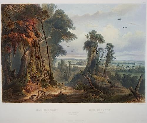 Poster Karl Bodmer New Harmony on the Wabash pour salon élégant 50x70