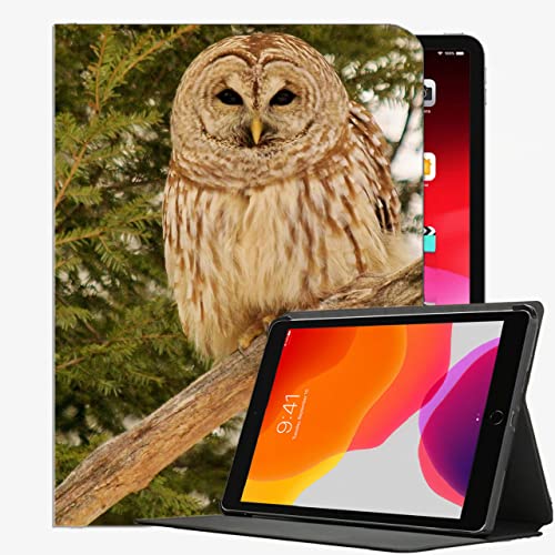 Caso para iPad (Modelo de 9.7 Pulgadas, 2018/2017, 6ª / 5ta generación), Búho Ramas de Aves Funda de Madera Cubierta Delgada de la Cubierta para iPad 9.7 Pulgadas