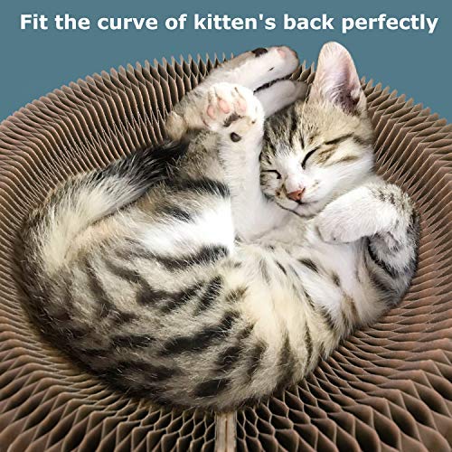 Sala multifuncional para cat Scratcher, almofada redonda dobrável com uma bola, o melhor lugar para