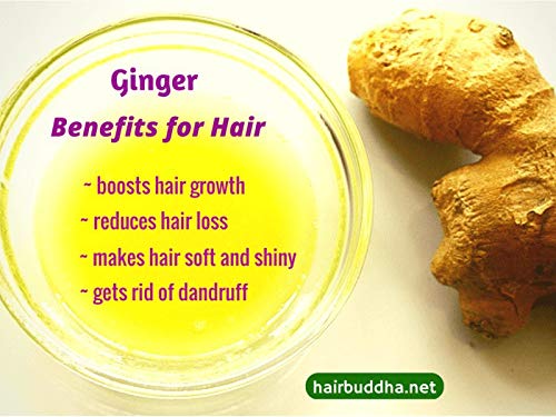 Image of Dominaro Premium Ginger oil - Cold Pressed & Unrefined Oil Hair Oil (100 ml)