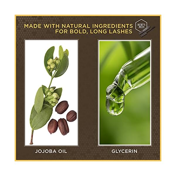 Burts-Bees-100-Natural-Origin-Nourishing-Mascara-Black-Brown-04-Ounce Burtâs Bees 100% Natural Nourishing Mascara, Black Brown - 0.4 Ounce