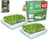 Green SEEDS&reg; Kressesieb 2er Set [Das Original] | Edelstahlsieb mit hochwertiger Keramikschale nachhaltig verpackt | Anzuchtschale 14 x 14cm + Sprossen-ABC | Kresseschale Keimschale