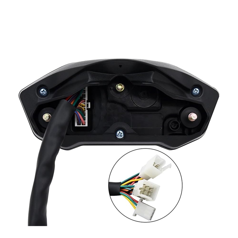 小堤晶子さんの皿 ozfactry 小堤晶子さん 鳥プレート Akiko Ozutsumi