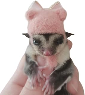 Accessories Supplies Halloween Chinchilla diameter