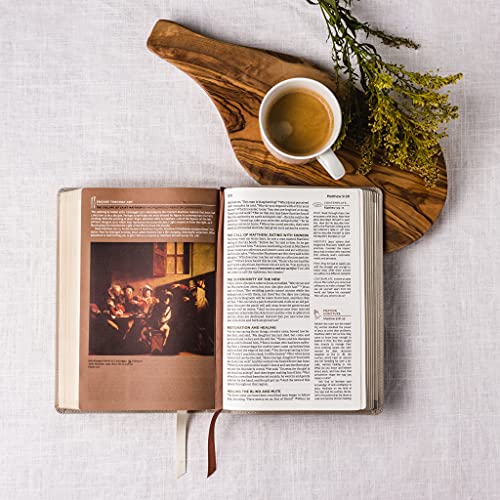 The Net, Abide Bible, Leathersoft, Stone, Comfort Print: Holy Bible