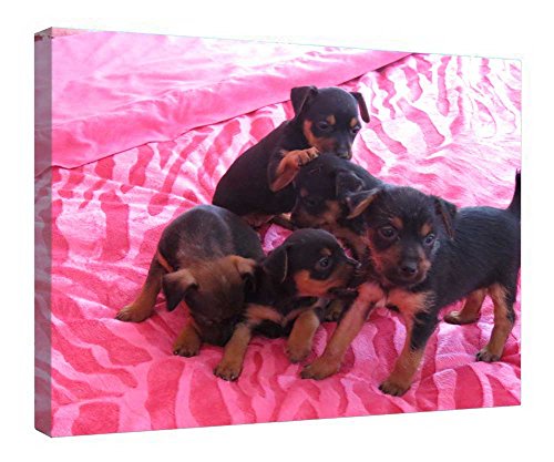 Toile chiots cadre bois à offrir pour un cadeau de crémaillère mémorable