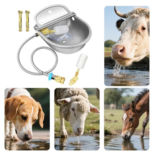 Abreuvoir automatique pour bétail et bol à eau inox élevage