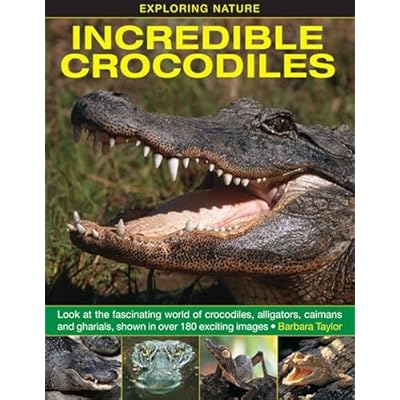 Exploring Nature: Incredible Crocodiles