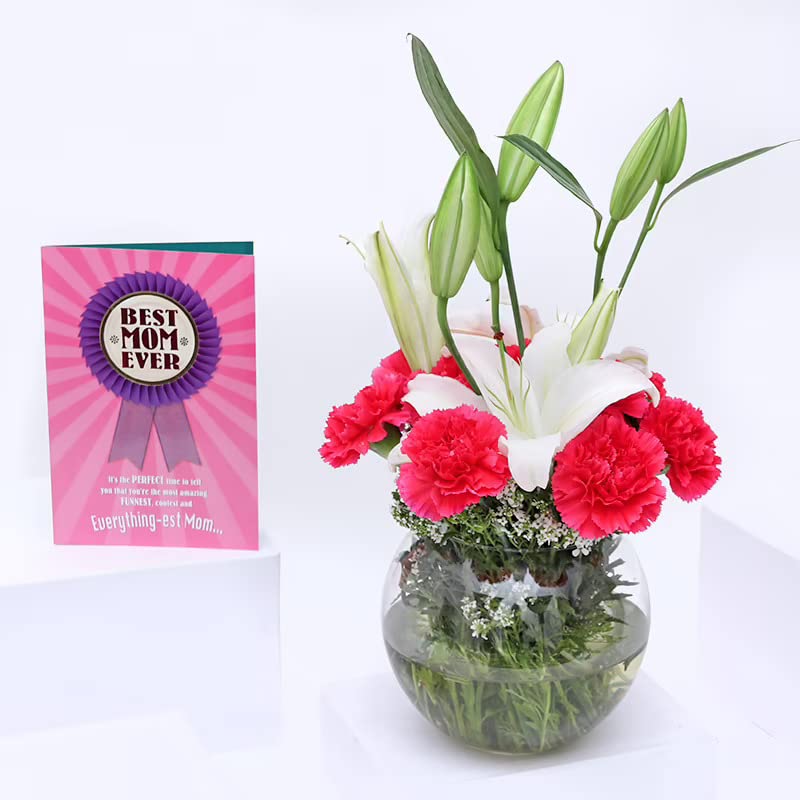 FlowerAura Fresh Live Flower Bouquet of 8 Carnations, 2 Lilies In Fish Bowl - Birthday, Anniversary, Congratulations, Occasion Gift - Same Day Delivery