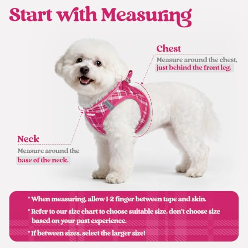 Image of rabbitgoo Dog Harness Small Sized and Leash Set, Step-in Puppy Pet Vest