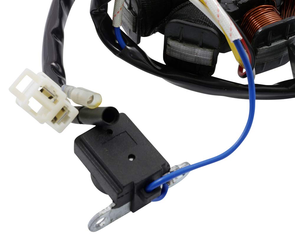 2EXTREME Lichtmaschine einzeln Version 1 kompatibel für REX RS450 QM50QT-6A Qingqi, BENZHOU YY50QT-15 Retro Star, ZNEN ZN50QT-E, MOTOBI Rimini 50 4-Takt, BAOTIAN BT49QT-11 - BT50QT-11, JONWAY YY50QT