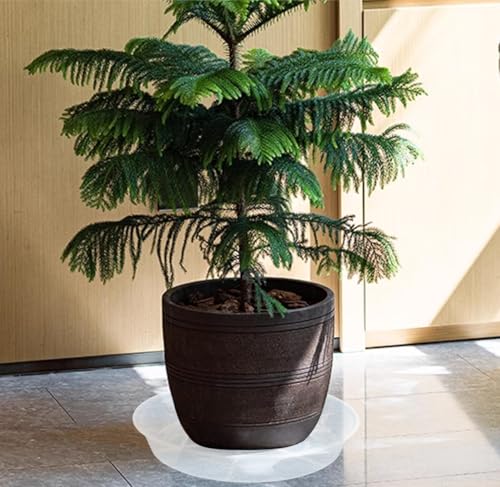 VUWEZ 6 Pack of 18 inch Plant Saucer (16 Inch Base), Plant Saucer 18 Inch Round, Plant Trays for Pots, Plant Drip Tray, Plant Pot Saucers, Pot Saucer 18\", Plant Saucers for Indoors (18\", Clear) - Thumbnail 5