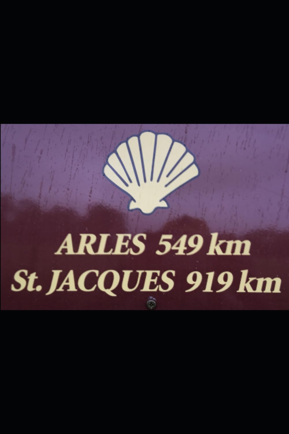 Del Ródano al Arga por la Vía Tolosana y el Camino Aragonés