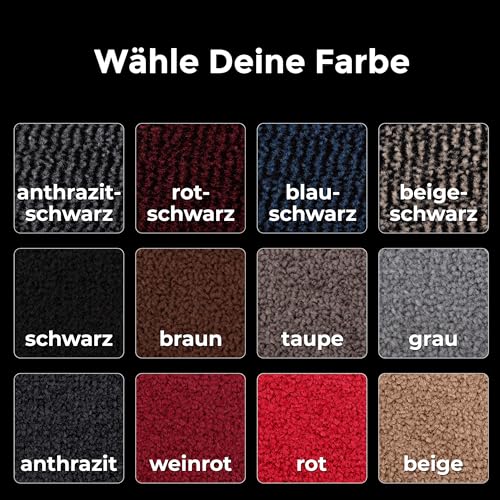 Carpet Diem Fußmatte, einfach sauber I Schmutzfangmatte Eingangsbereich - Fussmatte Innen & Außen, rutschfeste Türmatte, Schmutzfang Teppich für Haustür I Fußabtreter in Anthrazit-Schwarz 120x180 cm
