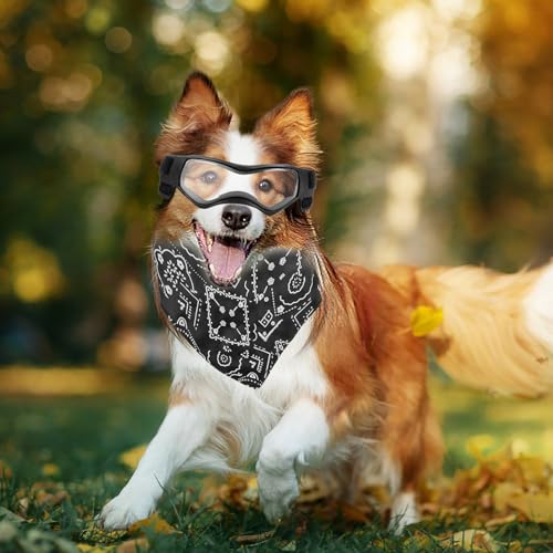 Hundebrille für Kleine Hunde, Wasserdicht Hundeschutzbrille mit Hundehalstuch, Verstellbare, UV-beständige, windabweisende Schutzbrille, Motorradbrille für Kleine Mittelgroße Hunde