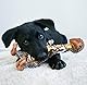 KONG Shakers Luvs Giraffe Large – Extra langes, quietschendes Hundespielzeug für große Hunde – Weiches Zerr- & Wurfspielzeug mit Plüschtier-Design für interaktiven Spielspaß