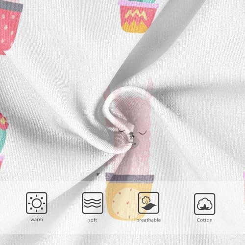 Cute Llamas Alpaca Toddler Girls's Underwear 2T 202c12903