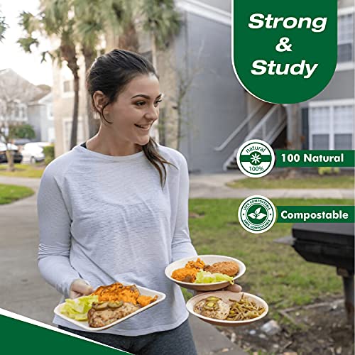 Raj Palm Leaf Plates 6\" 400 Square Plates like Bamboo plates Disposable, Decorative Compostable Tableware for wedding, Lunch, Dinner, Birthday, Camping, Outdoor BBQ, Picnic - Thumbnail 2