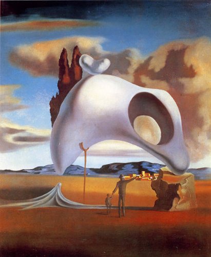 Amazon.co.jp: ダリ・「雨後の隔世遺伝ノ痕」 プリキャンバス複製画