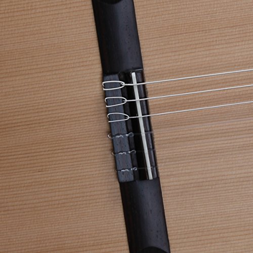 Alhambra - Chitarra classica spagnola Z-Nature