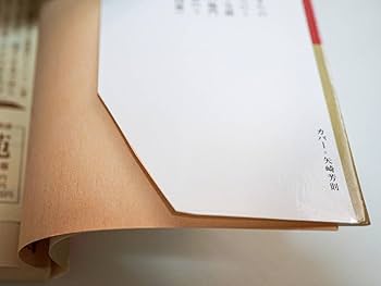 岩波文庫　紅楼夢　全12巻一括　雪芹 高蘭墅 松枝茂夫　外函カバー　未読美品 岩波文庫 紅楼夢 全12巻一括 雪芹 高蘭墅 松枝茂夫 外函カバー