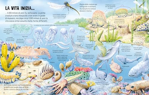 Libri Usborne Da Scoprire - Il Mondo Dei Dinosauri - 5