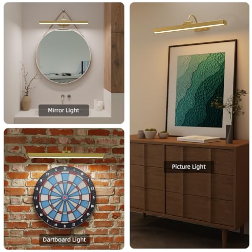 Luz de imagem operada por bateria, luz de exibição de arte com escurecimento contínuo, adequada para