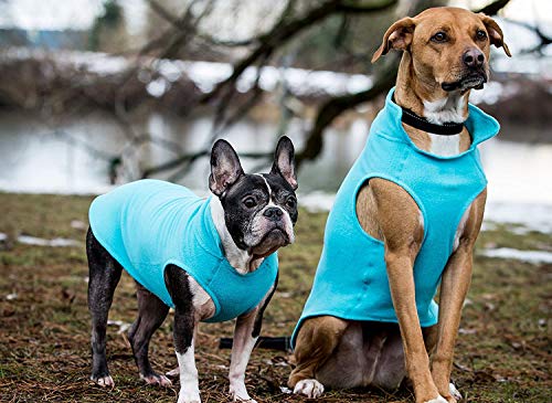 Rc Pet Products Baseline Fleece Dog Coat, Everyday Base Layer, Size 16, Black/Goji Berry #TOP3