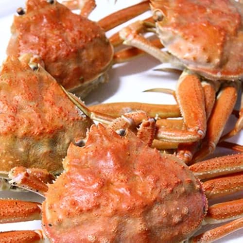 IIYCKj X  󂠂 kCY 1kgi4?6j g7O